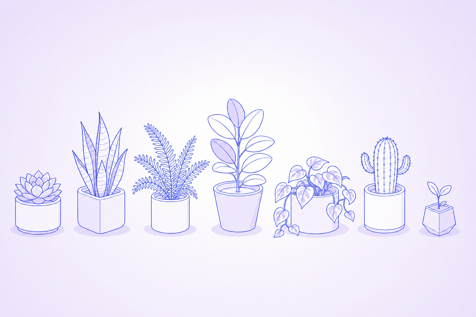 A row of different potted plants side by side